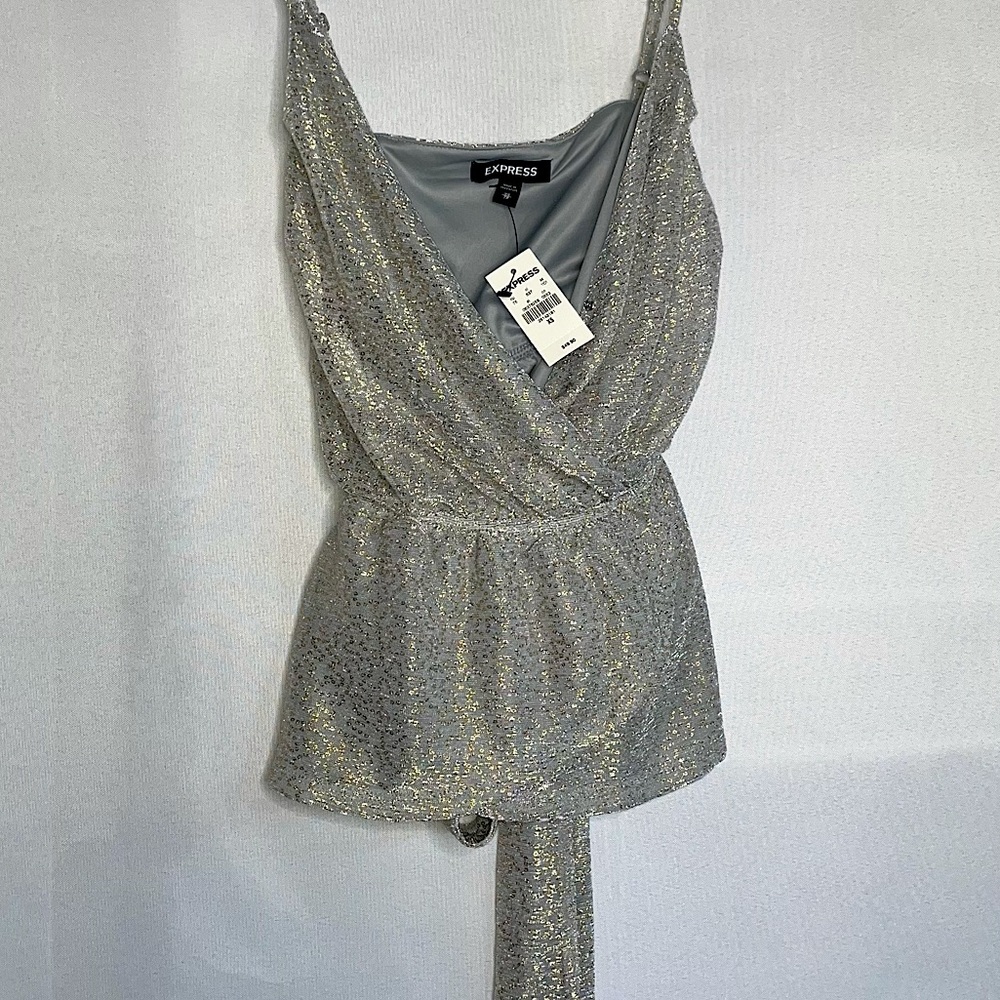 EXPRESS Silver Blouse